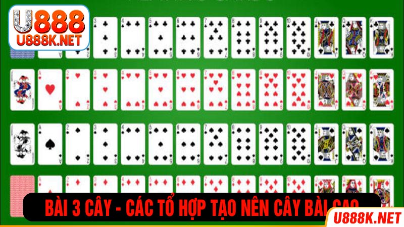 Các hạng bài được sử dụng trong 3 cây