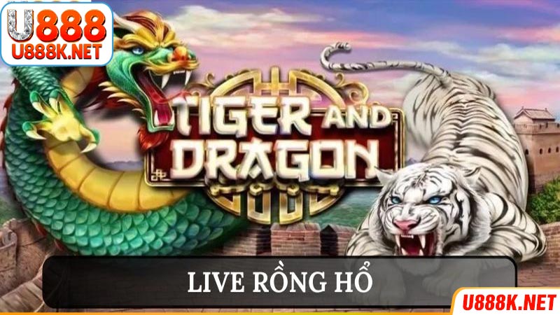 Cách chơi live rồng hổ