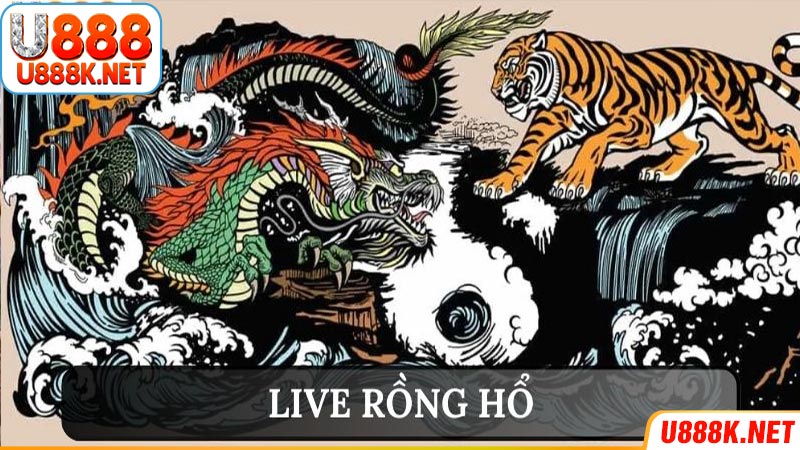 Sơ lược về live rồng hổ