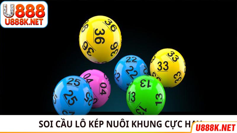 Soi cầu lô kép nuôi khung cực hay