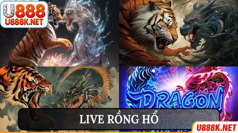 Tham gia Dragon Tiger nhận ngay phần thưởng siêu khủng