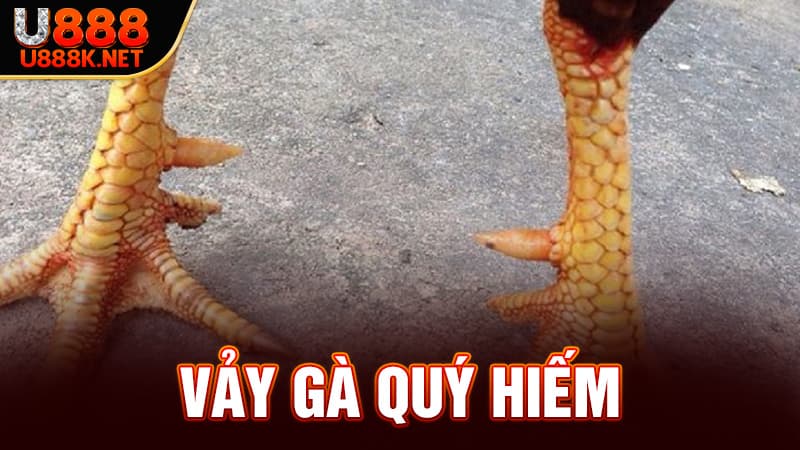 Top 7 Vảy Gà Quý Hiếm