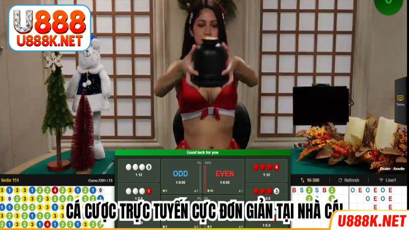 Cá cược trực tuyến cực đơn giản tại nhà cái